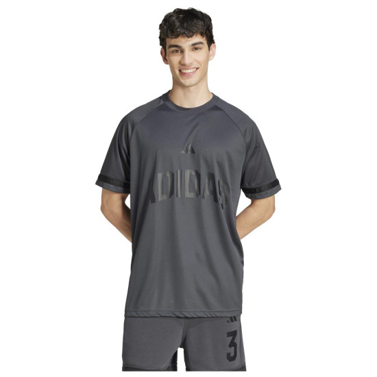 Adidas Ανδρική κοντομάνικη μπλούζα Seasonal Essentials Sport Tee Adidas Ανδρική κοντομάνικη μπλούζα Seasonal Essentials Sport Tee